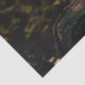 Sneusuil voor de winter tissuepapier (Detail)