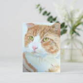 Snickers la carte postale de chat (Debout devant)