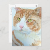 Snickers la carte postale de chat (Devant / Derrière)