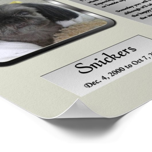 Snickers Memorial Poster (Hoek)