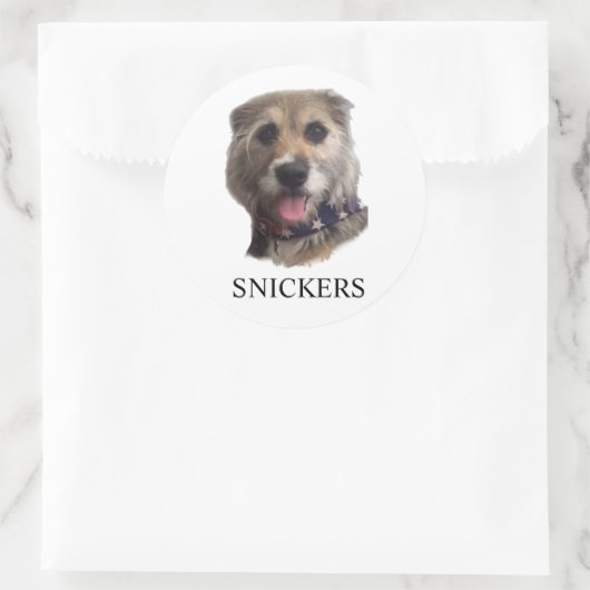 SNICKERS STICKER (Sac)