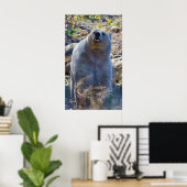 Sniffing Kermode (Spirit) Beer Wildlife Scene Poster (Thuiskantoor)