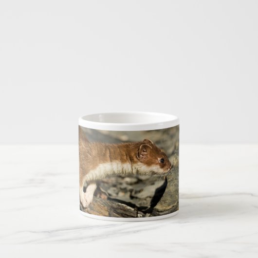 Sniffing Weasel Espresso Kop (Voorkant)