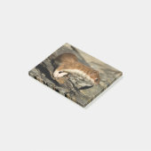 Sniffing Weasel Post-it® Notes (Schuin)