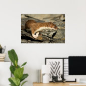 Sniffing Weasel Poster (Thuiskantoor)