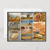 Snijbiet Briefkaart (Voorkant / Achterkant)