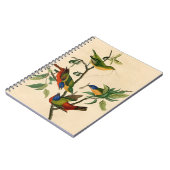  snijbiet van audubon notitieboek (Linkerzijde)