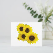 Snijbloemen Briefkaart (Staand voorkant)