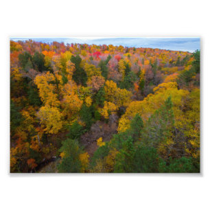 Snijdal, Herfst, Michigan Foto Afdruk