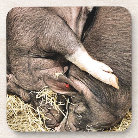 SNIJDEN BIER ONDERZETTER (Voorkant)