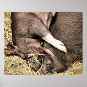 SNIJDEN POSTER (Voorkant)