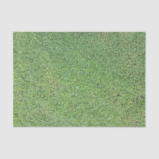 Snijgras Tissuepapier (Voorkant)