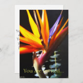 Snijkop Paradise Flowers 4 Kaart (Voorkant / Achterkant)