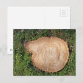 Snijkop verse snijboom briefkaart (Voorkant / Achterkant)