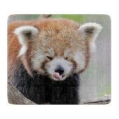 Snijplank Foto rode panda , dieren 0218. (Voorkant)