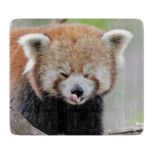 Snijplank Foto rode panda , dieren 0218.