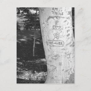 Snijwerk op berkenboomstam B&W Briefkaart