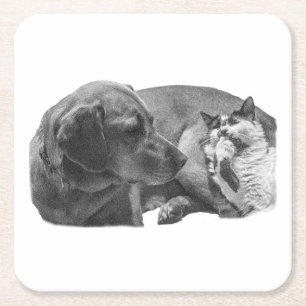 Snipbreuk met vrienden vierkante kartonnen onderzetter