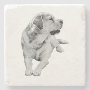 Snipbreuk, vaste vriend stenen onderzetter