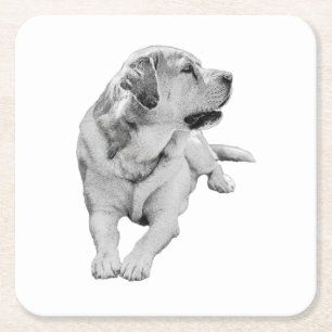 Snipbreuk, vaste vriend vierkante kartonnen onderzetter