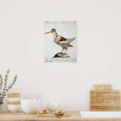 Snipe, c.1767-76 (met de hand gekleurde gravure) poster (Keuken)