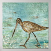 Snipe Coastal Shorebird Beach Art Print (Voorkant)