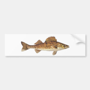 Snoekbaars Kunst Bumpersticker