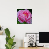 " SNOEP PINK PEONY" (FOTO) POSTER (Thuiskantoor)