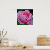 " SNOEP PINK PEONY" (FOTO) POSTER (Keuken)