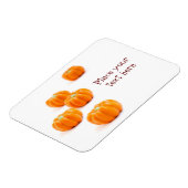 Snoep van de pompoen magneet (Linkerzijde)