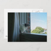 Snoepend tarief briefkaart (Voorkant / Achterkant)