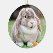 Snoezelkonijn Keramisch Ornament (Links)