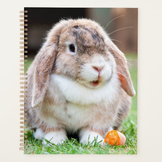 Snoezelkonijn Planner (Voorkant)
