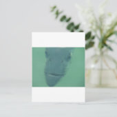 Snook Briefkaart (Staand voorkant)