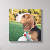 Snoopy Beagle Canvas (Voorkant)