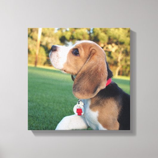 Snoopy Beagle Canvas (Voorkant)
