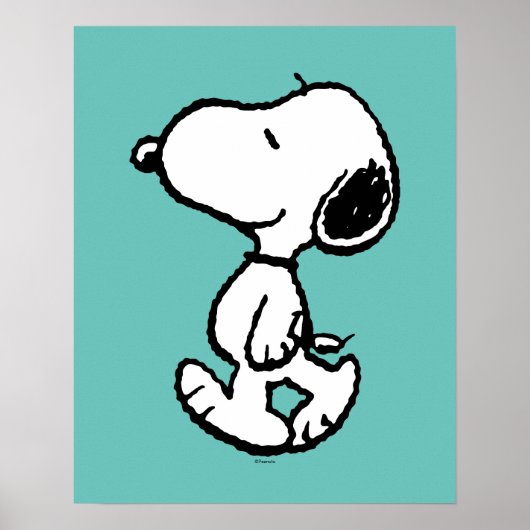 Snoopy Classic Comics Poster (Voorkant)