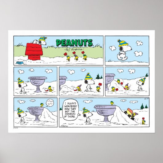 Snoopy & De Bemanning Poster (Voorkant)