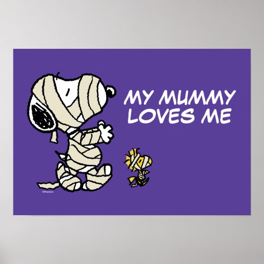 Snoopy en Woodstock Mummies Poster (Voorkant)