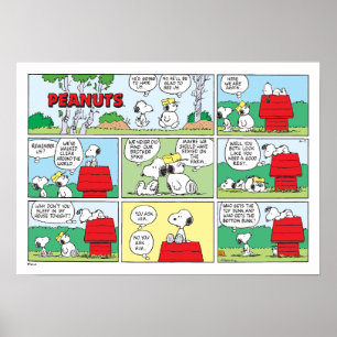 Snoopy en zijn broers Andy en Olaf Poster