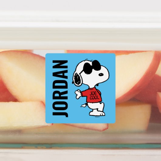 Snoopy "Joe Cool" Permanent Labels (Aangebracht)