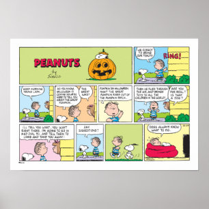 Snoopy & Linus   Het grote pompoen nieuws Poster