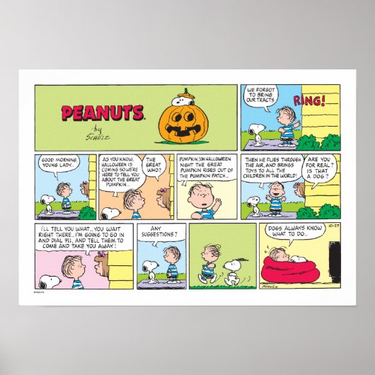 Snoopy & Linus | Het grote pompoen nieuws Poster (Voorkant)