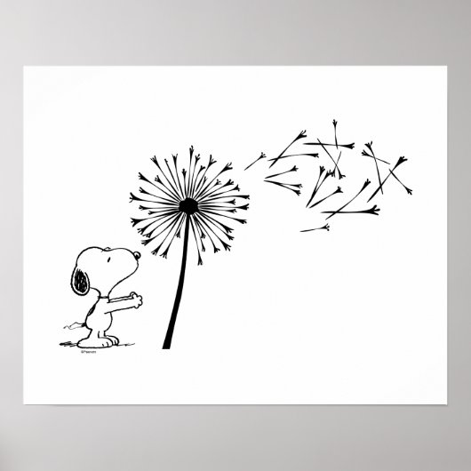 Snoopy met Dandelion Poster (Voorkant)