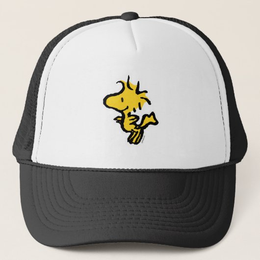 Snoopy & Woodstock Fun & Flowers Trucker Pet (Voorkant)