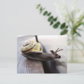 Snoose Briefkaart (Staand voorkant)