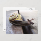 Snoose Briefkaart (Voorkant / Achterkant)