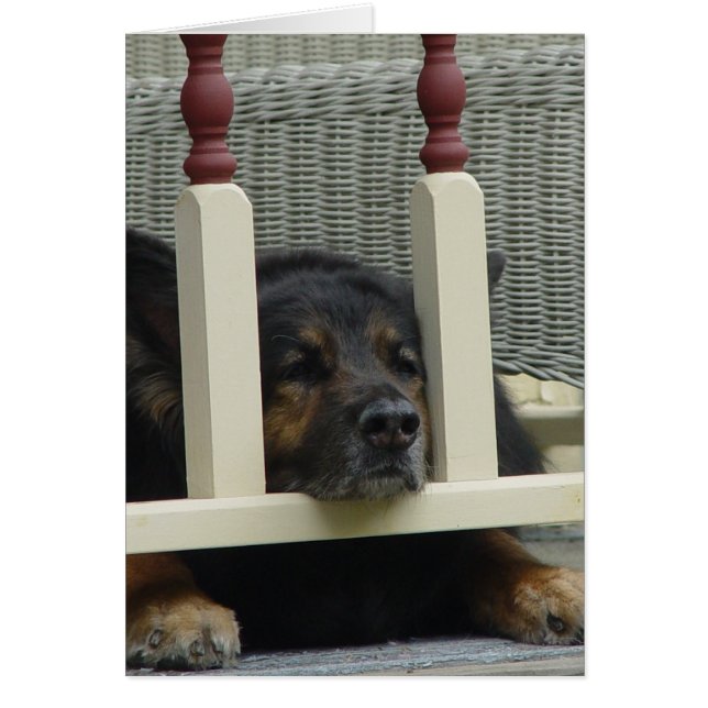 Snooze de l'après-midi (Devant)