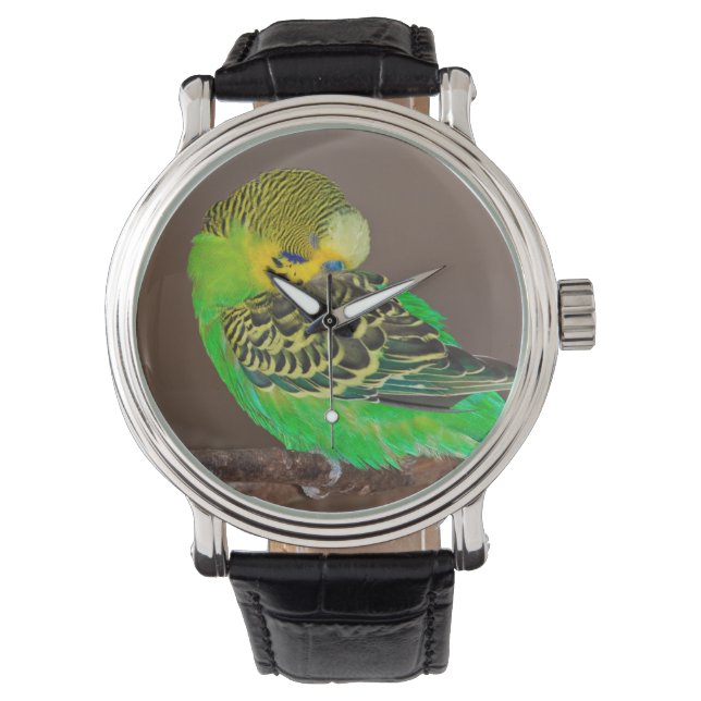 Snoozing Budgie Watch Horloge (Voorkant)