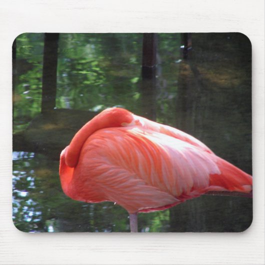 Snoozing Flamingo Muismat (Voorkant)
